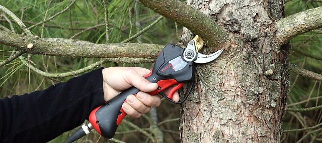 Infaco Electronic Secateurs/ Power Pruners